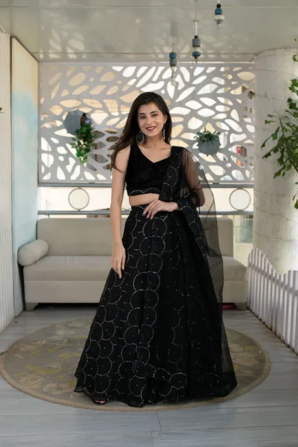 Black Organza Lehenga With Velvet Blouse